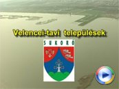 Kattintson a képre Sukorót bemutató videó megtekintéséhez, vagy letöltéséhez